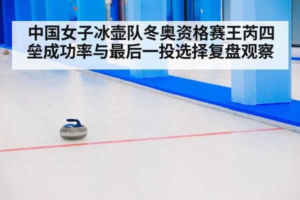 curling stone on ice